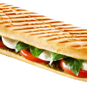 PANINI SAUMON MAYO FROMAGE
