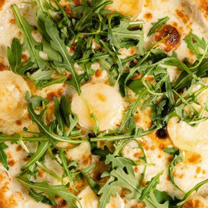 CHÈVRE AU MIEL - MEDIUM